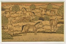 Fauna Selvatica Natura Art