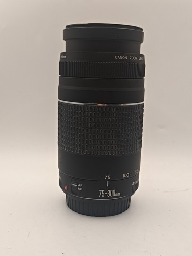 Canon 300 4 - ef, f/4-5.6