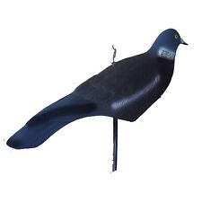 stampo colombaccio a