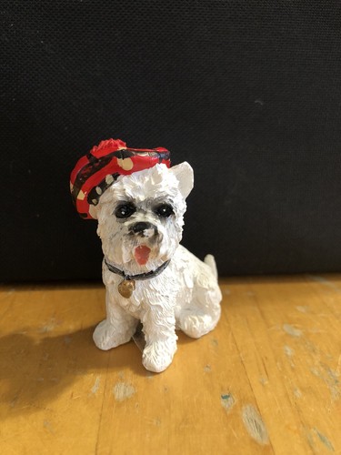 Beautiful highland terrier - beautiful,