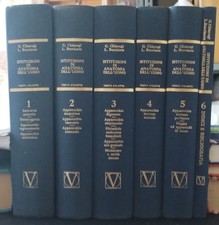 CHIARUGI Bucciante, Testo