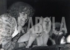 Foto vintage Francia, Pechinese con gatti persiani, 1949, stampa 18x13 cm