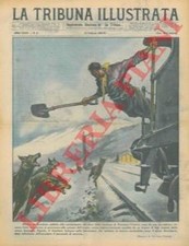 PISANI Vittorio - Lupi