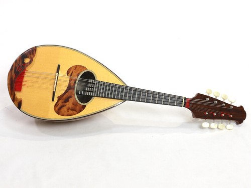 Mandolino calace classico - mandolino, b