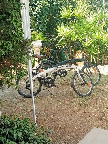 Bici pieghevoli misura - pieghevoli, 20