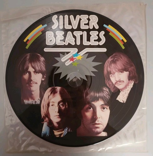 Silver beatles picture disc - lp,