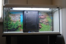 acquario completo usato 80 cm