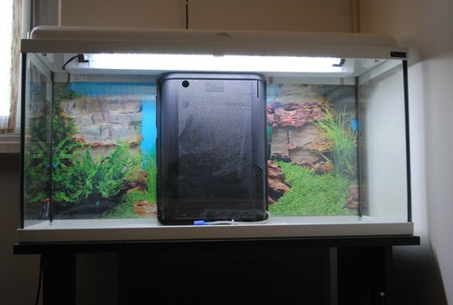 Acquario completo usato - usato, 80
