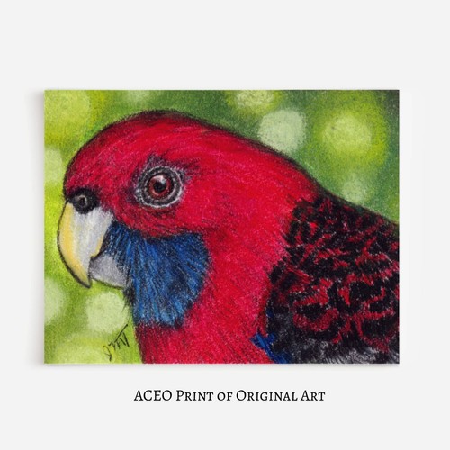 Aceo stampa arte - aceo, di
