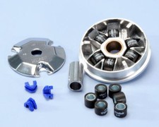 241 520 variatore polini - 241.520,