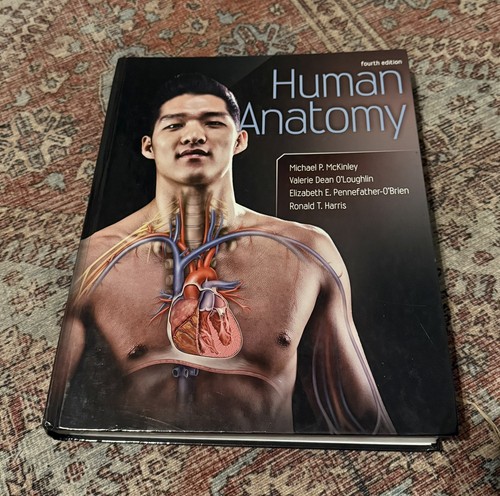 Human anatomy valerie - human,