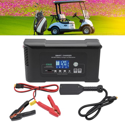 Caricabatterie golf cart - caricabatterie,