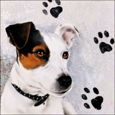 Tovaglioli ambiente Jack Russel 33 x 33 cm