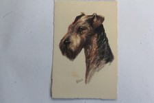 Old postcard illustrated Gauli