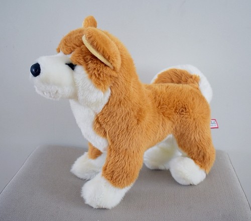 Dunham shiba inu douglas - dunham,