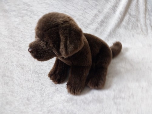 Peluche labrador cioccolato - labrador,