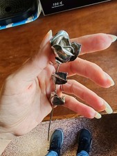 Rosa Brandimarte Firenze argento 800