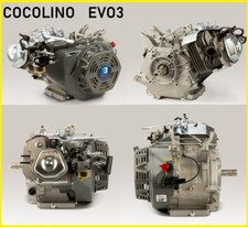 Motore Kart DM 390cc Evo3 9KW