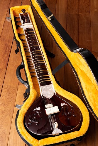 Strumento indiano sitar stile