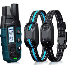Collare cane 1000m - x2,