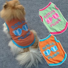 Carino Pet Cane Vestiti