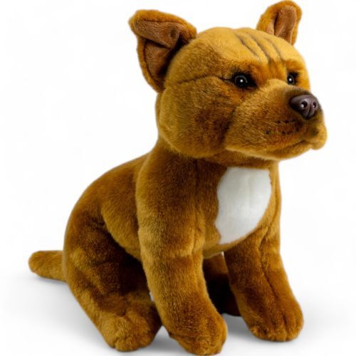 Stafford bull terrier - stafford,