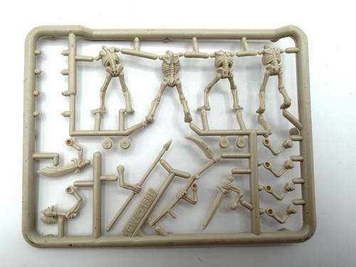 Warhammer skeleton warriors - skeleton,