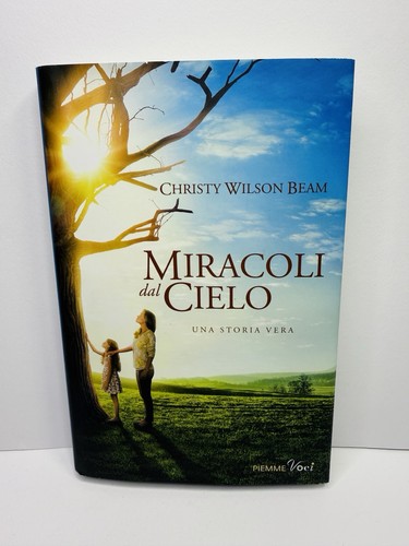 Miracoli dal cielo - , christy