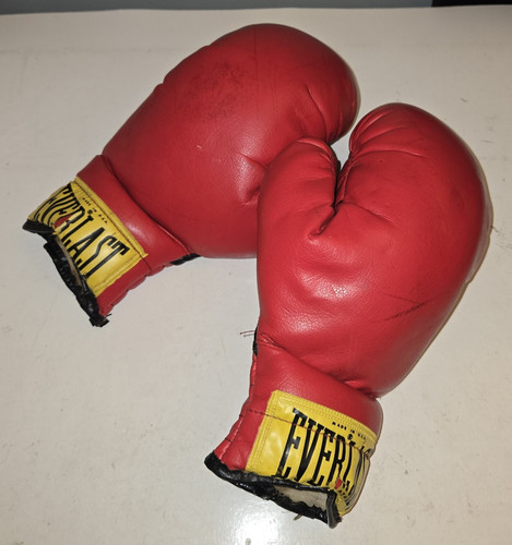 Coppia guantoni boxe - da,