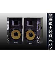 Coppia Casse Audio Usb