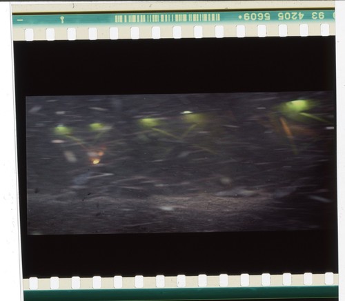 Prometheus movie cornice - prometheus, mm