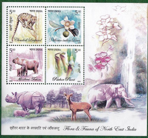 India 2005 flora fauna pianta - flora,