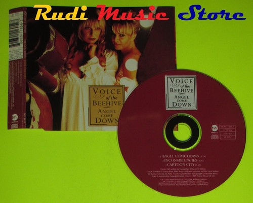 Singolo voice the - cd,