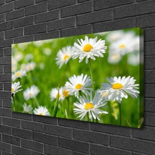 Tulup Stampa su Tela Wall art