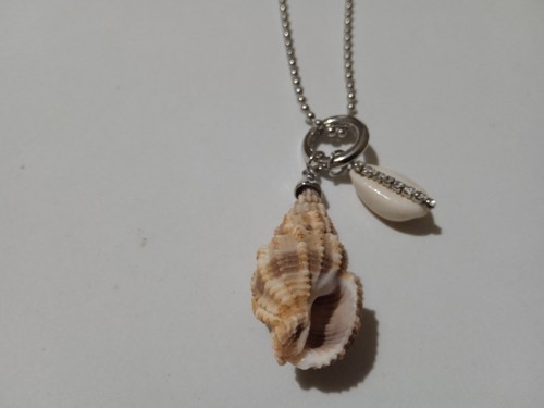 Collana lunga colore argento