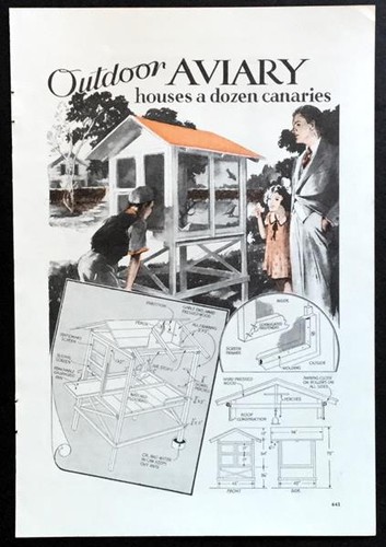 Aviaia esterno 1934 - 1934, design
