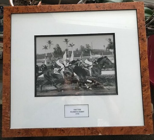 Florida derby vincitore - florida,