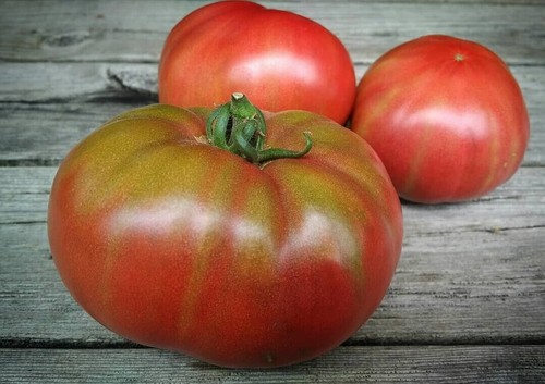 Pomodoro black mamba semi - pomodoro,