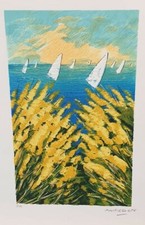 DOMENICO MONTEFORTE cm 25x35