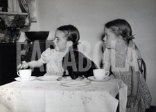 Foto Vintage Animali Regno Unito Tè in compagnia di cane 1953 stampa 20x15 cm