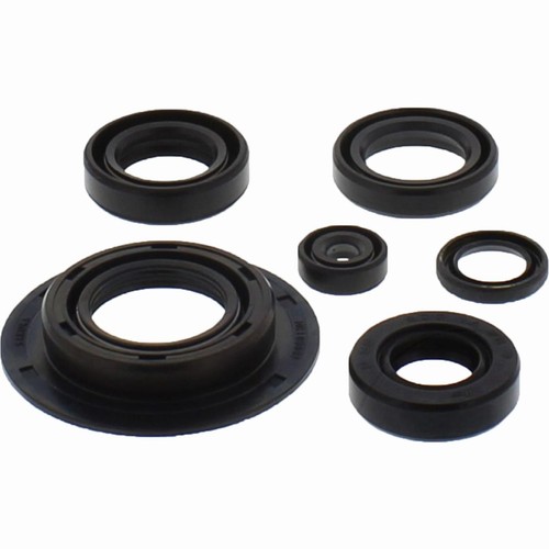 Kit guarnizioni olio motore