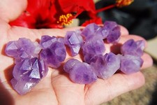 [3] CARINO Grappoli di