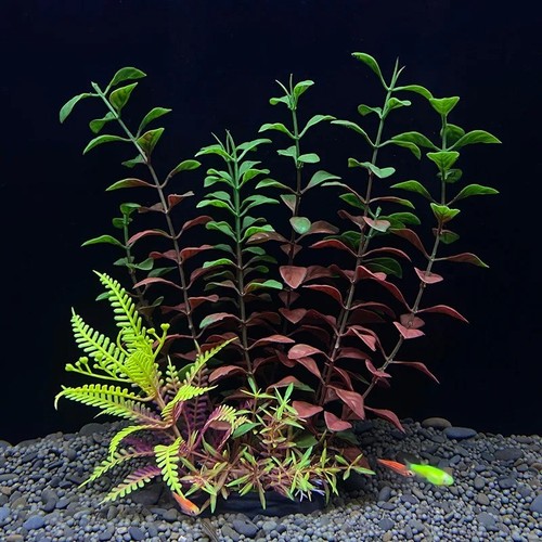 Piante artificiali acquario - artificiali,