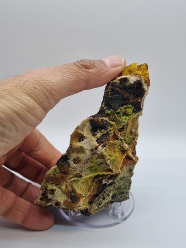 Minerali◇Piromorfite