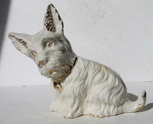 West highland white terrier - west,