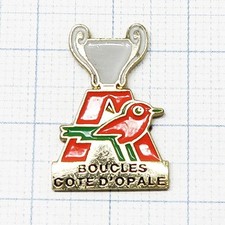 P2997 Pins Pin Badge Auchan