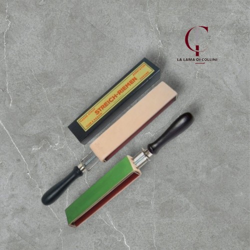 Coramella rigida herold con - rigida,