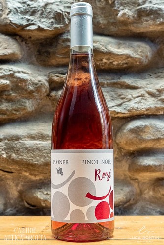 Pinot noir nero rose 25 - nero, 05-25