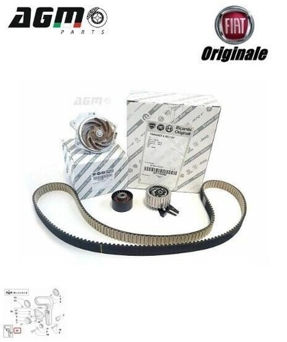 Kit distribuzione pompa - kit, +