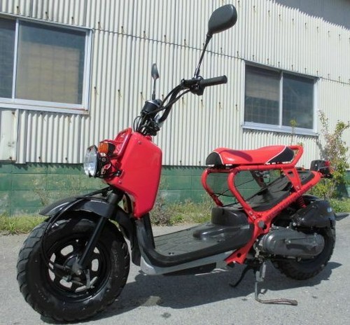 Honda zoomer af58 protezione - honda,
